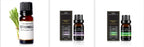 Organic Essential Oils Set Top Sale  Natural Therapeutic