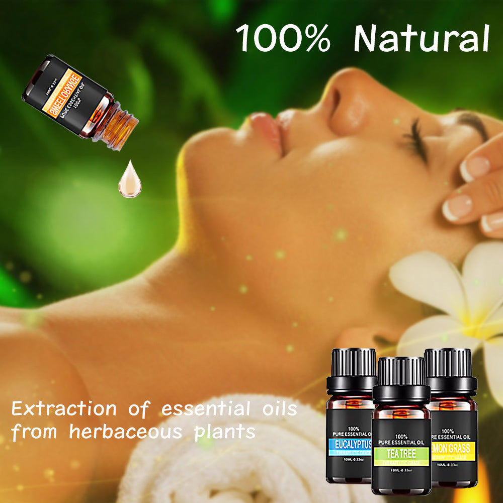 Organic Essential Oils Set Top Sale  Natural Therapeutic