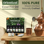 Essential Oils for Diffusers, 100% Natural Plant Extracts Six Scents
