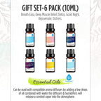 6 Pack of 100% Pure Essential Aromatherapy Oils Blends