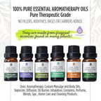6 Pack of 100% Pure Essential Aromatherapy Oils