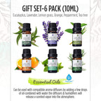 6 Pack of 100% Pure Essential Aromatherapy Oils