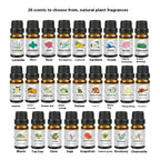 Aromatherapy Home Indoor Air Freshener