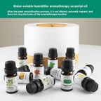 Aromatherapy Home Indoor Air Freshener
