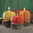 Big Dipper Wax Works Beeswax Pumpkin Candles